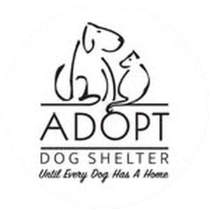Adopt Dog Shelter